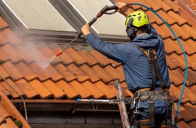 Démoussage et hydrofuge de toiture à Trochères
